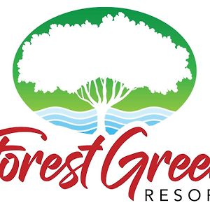 Forest Green Resort